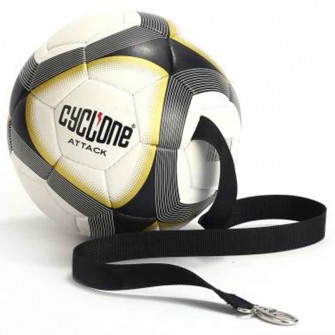 Cyclone Sarkaç Topu