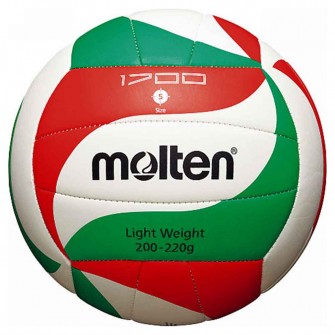 Molten V5M1700-L Volleyball Ball